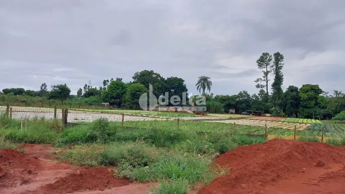 Terreno disponível para locação no bairro Shopping Park em Uberlândia-MG