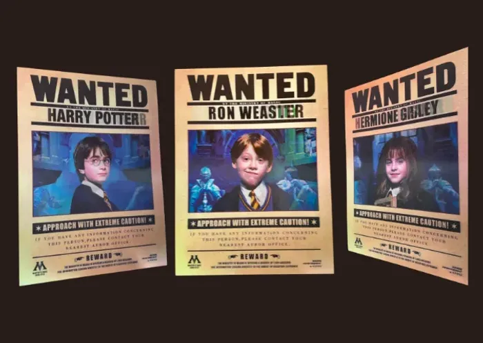 Pôster 3D Harry Potter