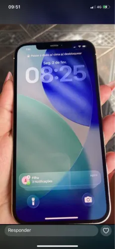 12 pro max 128 gb 