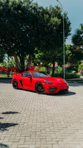 Porsche 718 Cayman GTS 2.5 365cv 2019