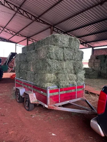 Reboque carga carretinha trucada de 300 x 150 x 050 fazendinha 