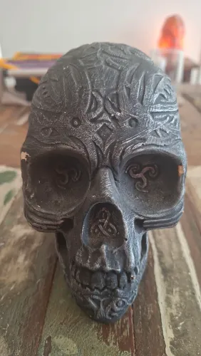 Caveira de gesso