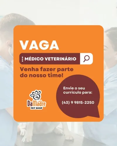 Médico Veterinário 