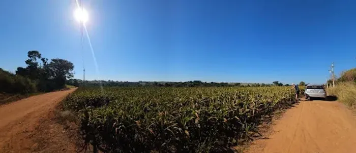 Sítio à venda, 77682 m² por R$ 1.200.000,00 - Zona Rural - Conchal/SP