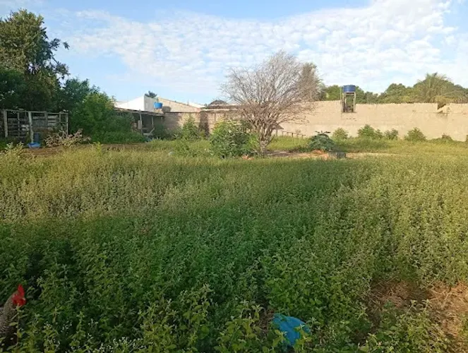 Terreno à venda, 1771 m² por R$ 1.770.000,00 - Jardim Brasil - Americana/SP