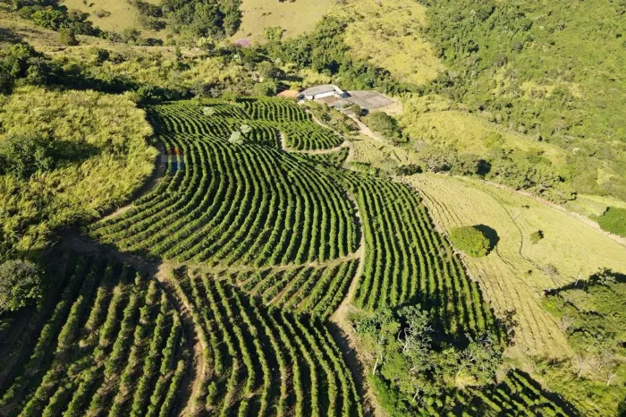 RE/MAX VENDE SÍTIO DE CAFÉ COM 16 HECTARES NA ÁREA RURAL SÃO SEBASTIÃO DA GRAMA SP