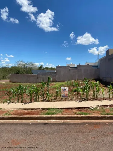 Terreno à Venda no Jardim Flora IV com 300m²