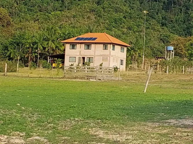 Fazenda para aluguel possui 3.000 hectares em zona rural de Santarem - PA