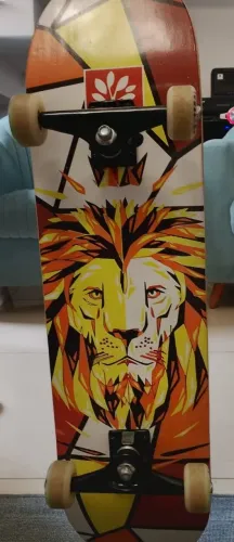 Vendo ou troco SKATE profissional 