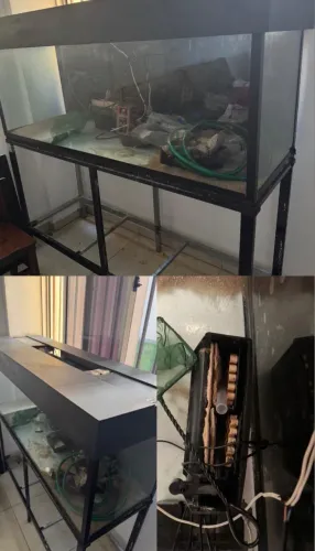 Vendo aquário completo