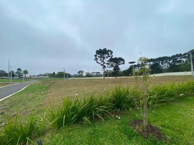Terreno à venda, 250 m² por R$ 324.990,00 - Planta São Tiago - Piraquara/PR