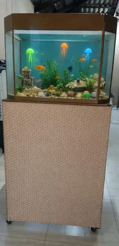 Aquário