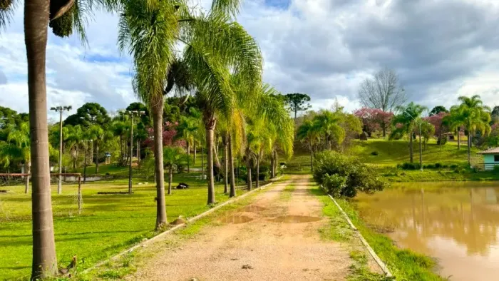 Condomínio de chácaras à 46km de Curitiba - Parcelado.
