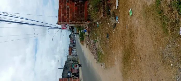 Terreno no coqueiral