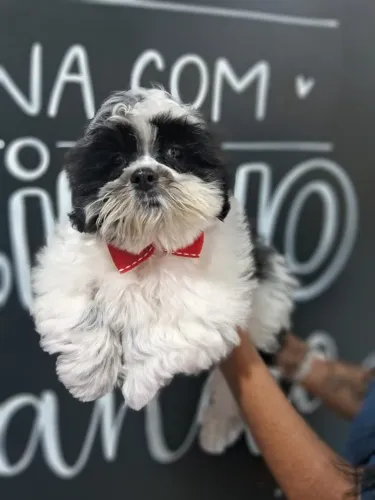De Porte Pequeno e Cheio de Amor para Dar