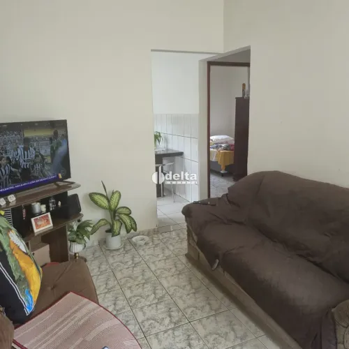 Casas residencial e 1 Casa comercial disponível para venda no bairro Santa Mônica em Uberl