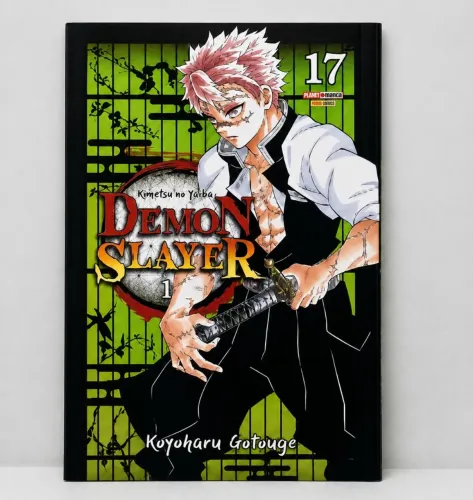 Mangá Demon Slayer Vol. 17 - Panini