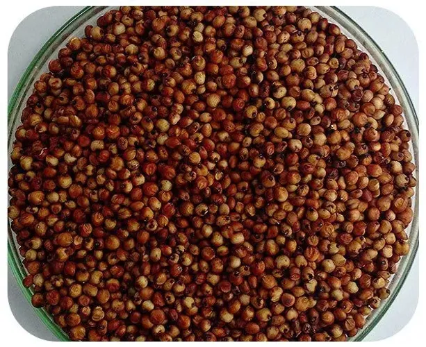Sorgo em grão ensacado 40 kgs