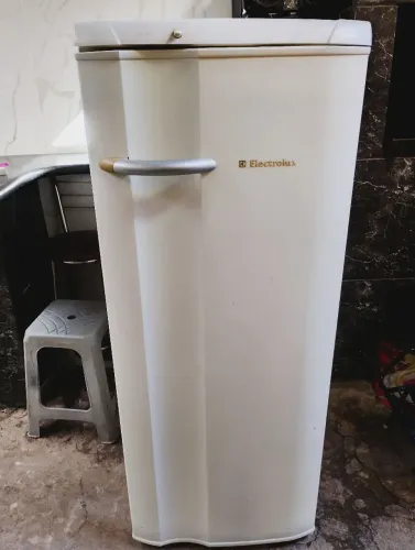 Eletrolux Degeloseco110vts(Entrego sem taxa)