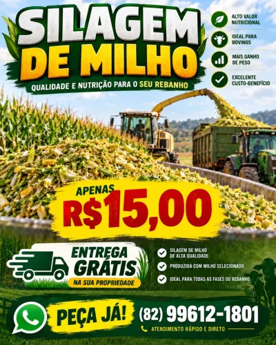 Silagem de milho - Saco