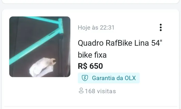 Quadro RafBike Lina Fixa