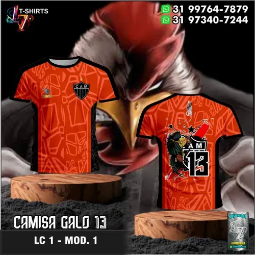 SOMOS TODOS GALO13 