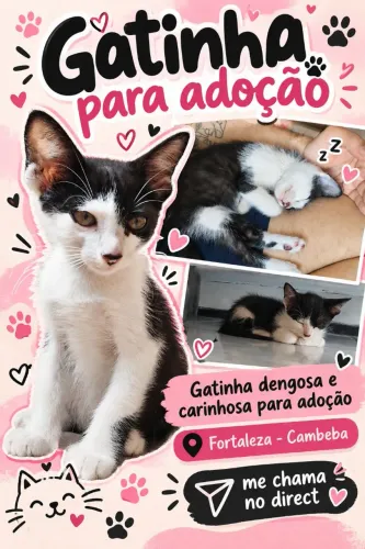 Gatinha para adoção 