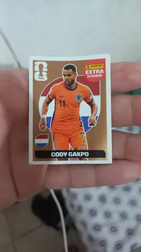 Cartinha da Copa/ Coldy Gakpo (Bronze)