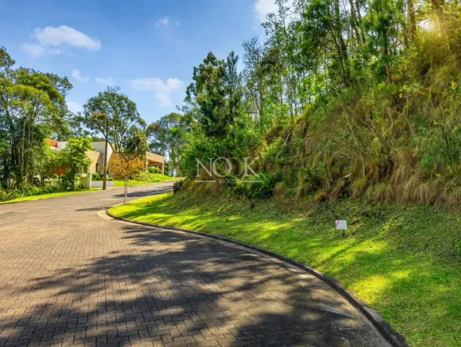 Terreno em Gramado: Exclusividade para Construir Seu Projeto