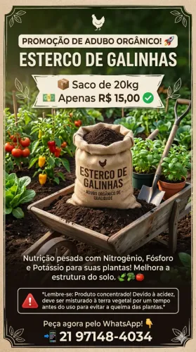 Esterco de galinha 