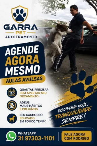 Adestrador de cães