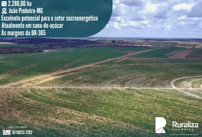 FAZENDA 471 ALQUEIRÕES | 1.199 HA EM CANA-DE-AÇÚCAR | ÀS MARGENS DA BR-365
