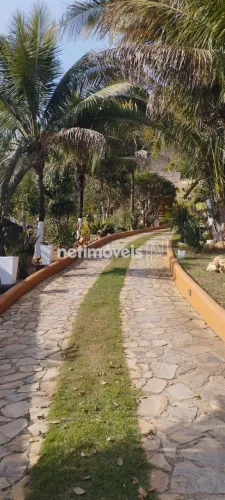Venda Chácara Pinhões Santa Luzia