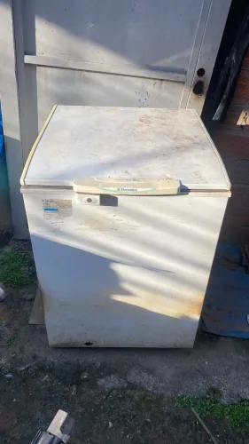 Freezer Electrolux