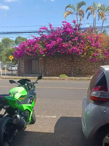 Ninja 400