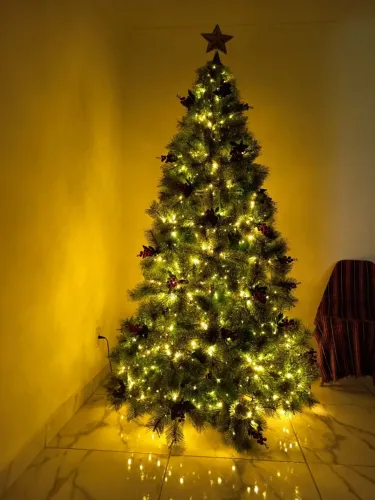 Árvore de natal