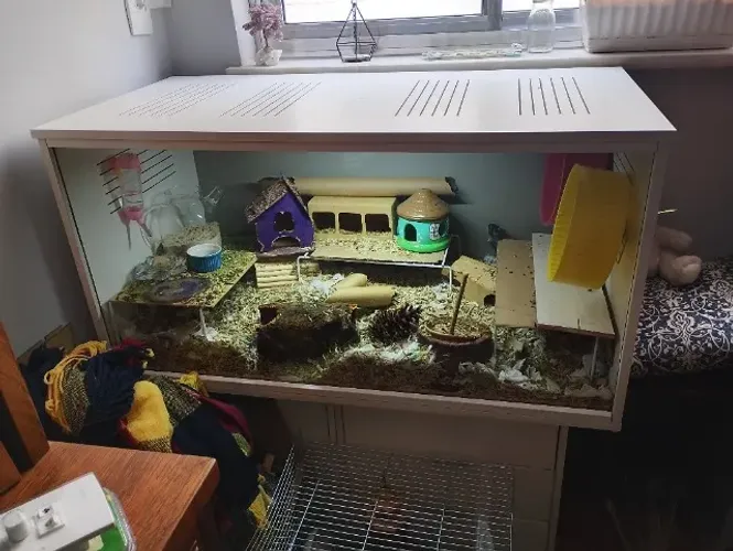 Terrário