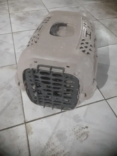 CAIXA transportadora 