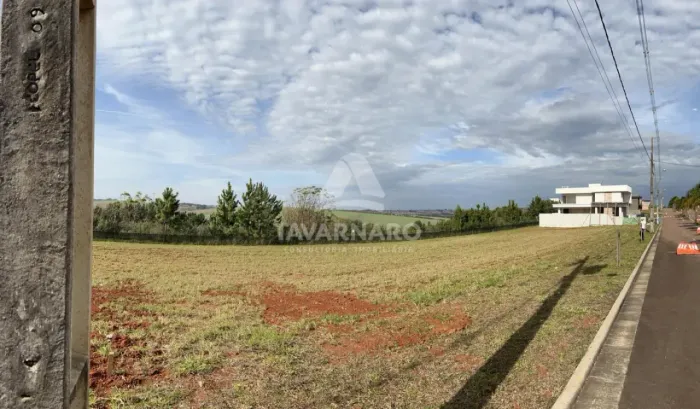 Terreno Condomínio em Ponta Grossa