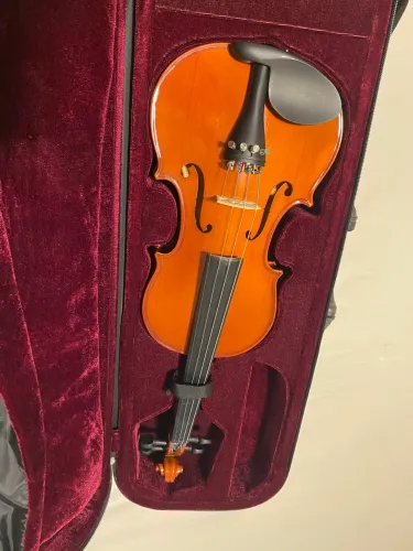 Violino Vignoli Profissional 4/4 Tampo Solido Escala Ebano