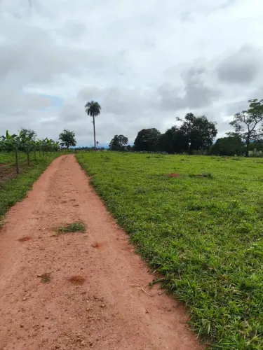 Fazenda a venda em Taguaral - Goiás!!!