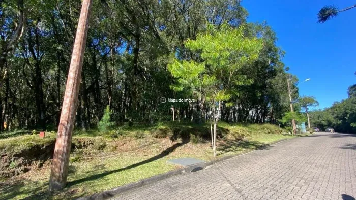 Terreno no Condomínio Pinheiro Grosso - Canela/RS