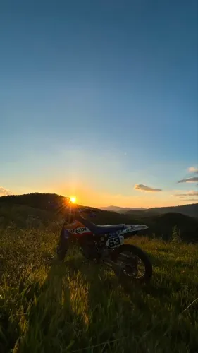 Ttr 230
