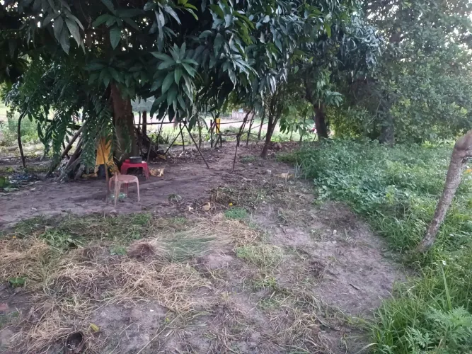 Terreno com casa, na beira do rio