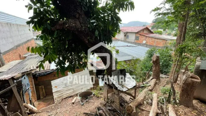 Lote para Venda em Belo Horizonte / MG no bairro Palmeiras