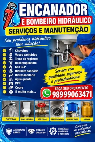 Encanador profissional 