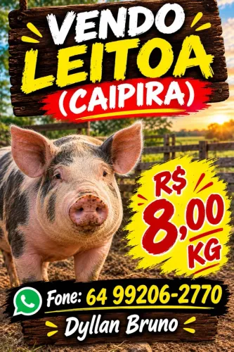 Vendo leitoa caipira 