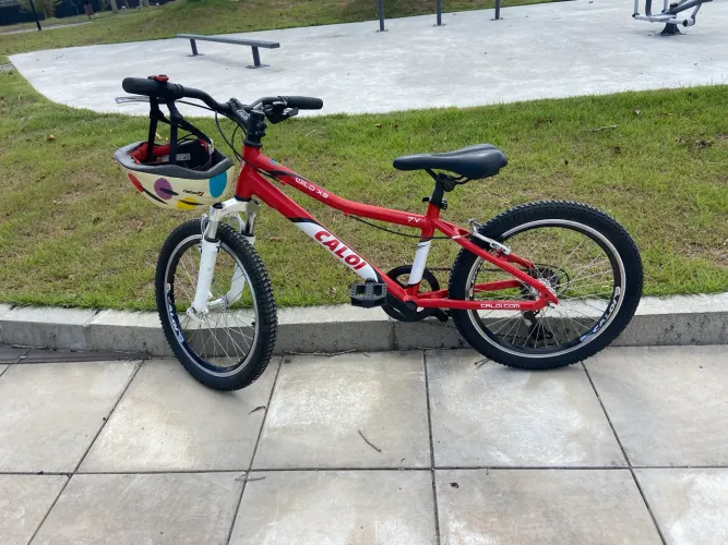 Caloi wild aro 20