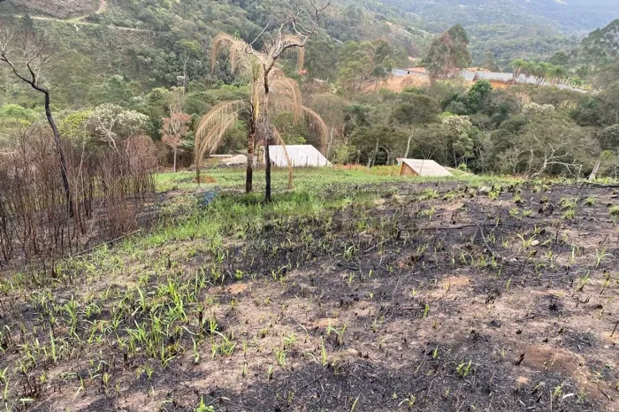 "Terreno dos Sonhos em Mairiporã, SP: 1600m²"
