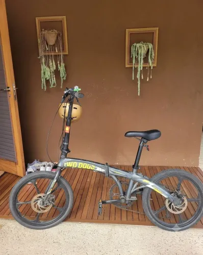 Bike Two Dogs